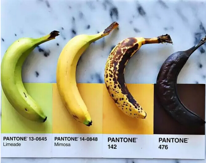 色标颜色对照表 食品图片