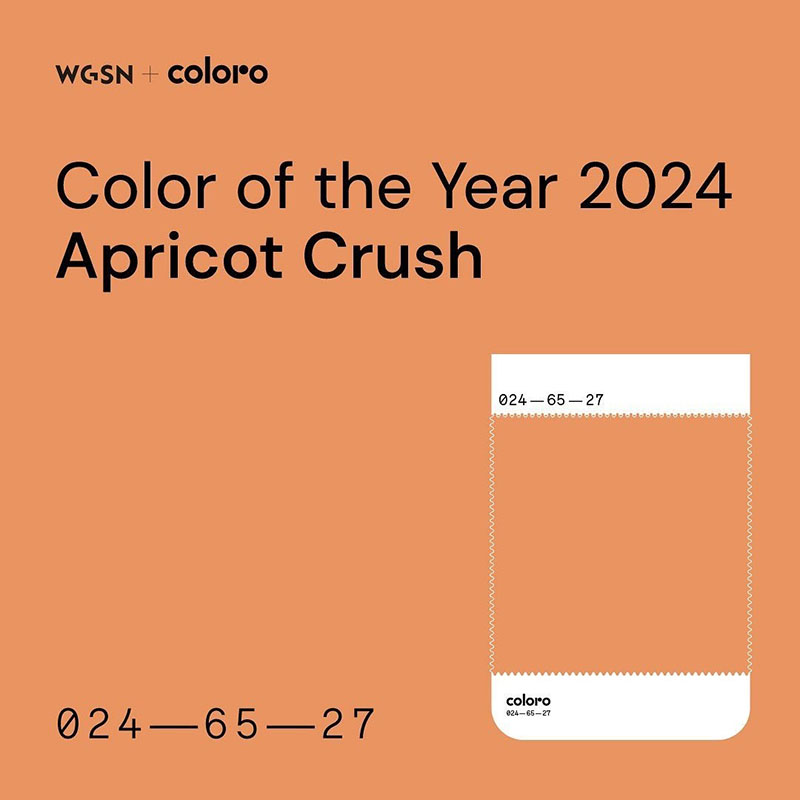 2024 Schedule – Pantone 294